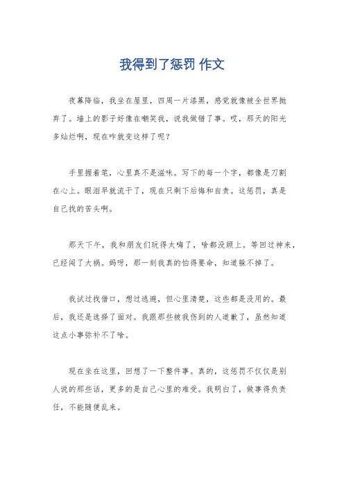 我得到了惩罚 作文