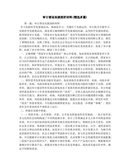 审计理论实践剖析材料(精选多篇)