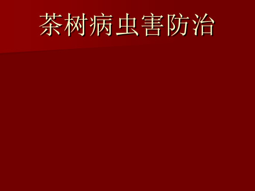 茶树病虫害防治课件_1 昆虫基础知识2.PPT