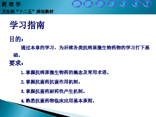 抗病原微生物药概论-PPT幻灯片