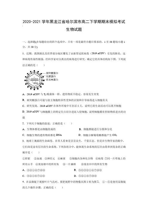 2020-2021学年黑龙江省哈尔滨市高二下学期期末模拟考试生物试题【含答案】