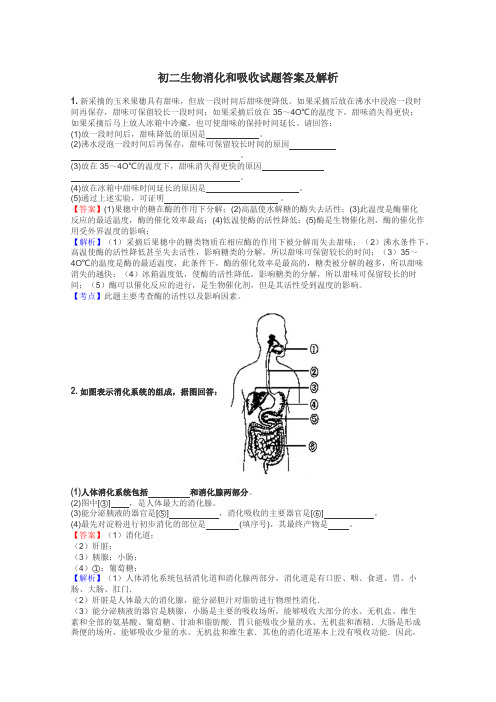 初二生物消化和吸收试题答案及解析
