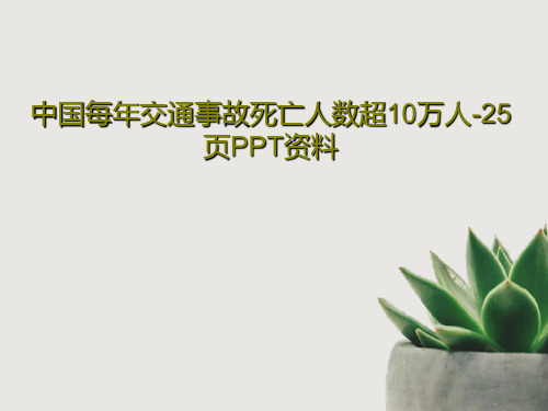 中国每年交通事故死亡人数超10万人-25页PPT资料共27页