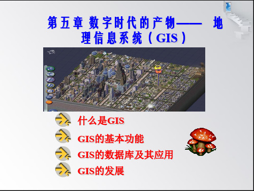 5.1 什么是GIS