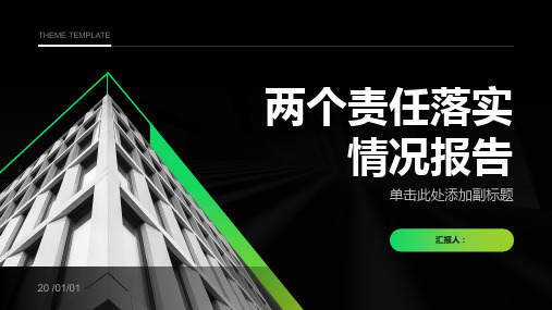 两个责任落实情况报告