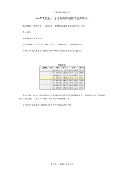 ArcGIS教程：地理数据库属性表基础知识