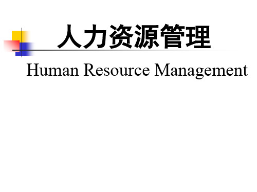 人力资源管理第一章 人力资源管理46页PPT文档