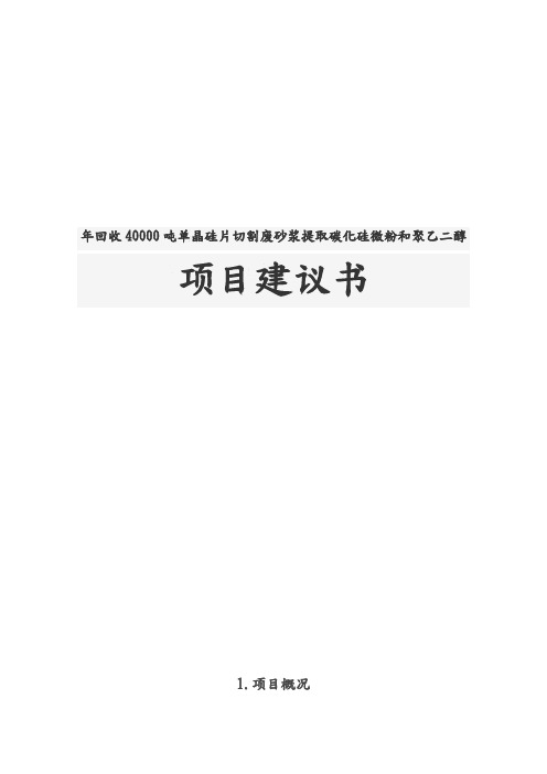 年回收40000吨单晶硅片切割废砂浆提取碳化硅微粉和聚乙二醇项目实施建议书