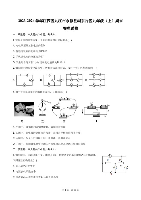 2023-2024学年江西省九江市永修县湖东片区九年级(上)期末物理试卷(含解析)