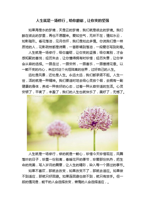 人生就是一场修行，给你磨砺，让你变的坚强