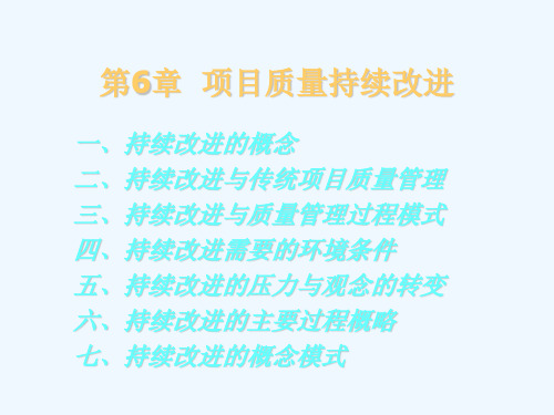 第6章  项目质量持续改进