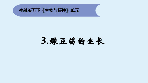 1-3《绿豆苗的生长》(课件)-2021- 2022学年科学五年级下册