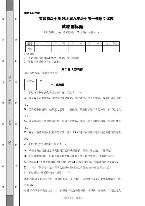 实验初级中学2019届九年级中考一模语文试题试卷—附答案解析版