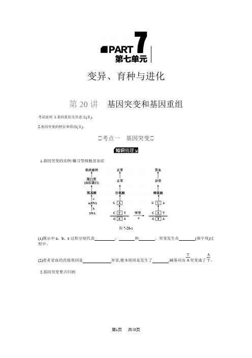 高三生物一轮书稿：第7单元-变异、育种与进化(含答案)听课正文