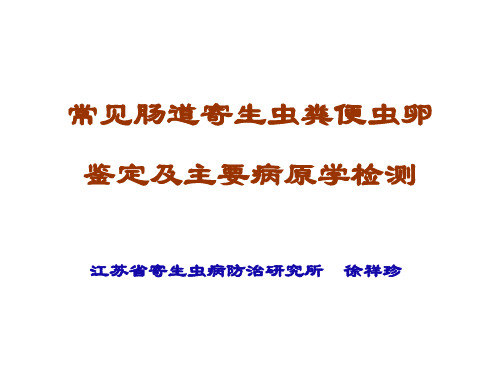 (2019培训用)常见肠道寄生虫的虫卵鉴定及主要病原学检测