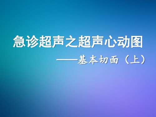 急诊超声培训课件 2基本切面(上)