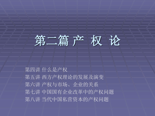 北大经院政治经济学刘伟老师课件p02_04