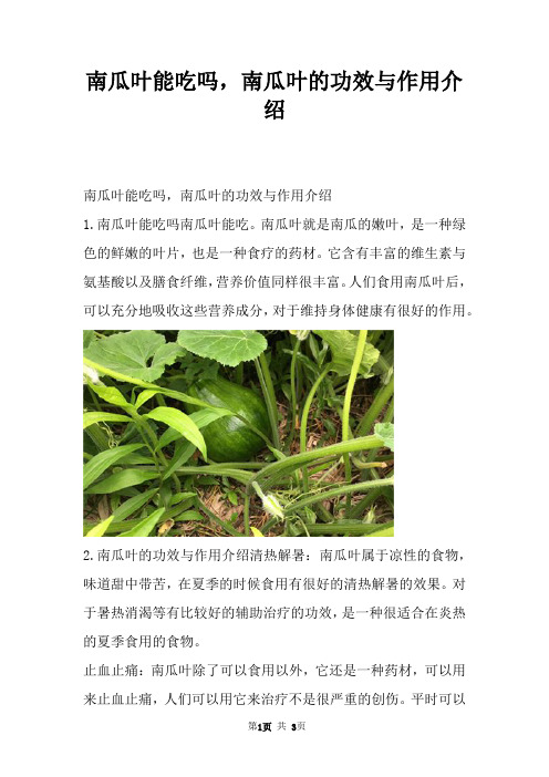 南瓜叶能吃吗，南瓜叶的功效与作用介绍