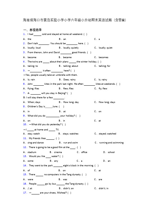 海南省海口市寰岛实验小学小学六年级小升初期末英语试题(含答案)