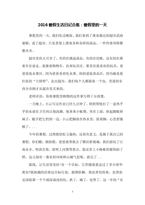 2016暑假生活日记合集:暑假里的一天