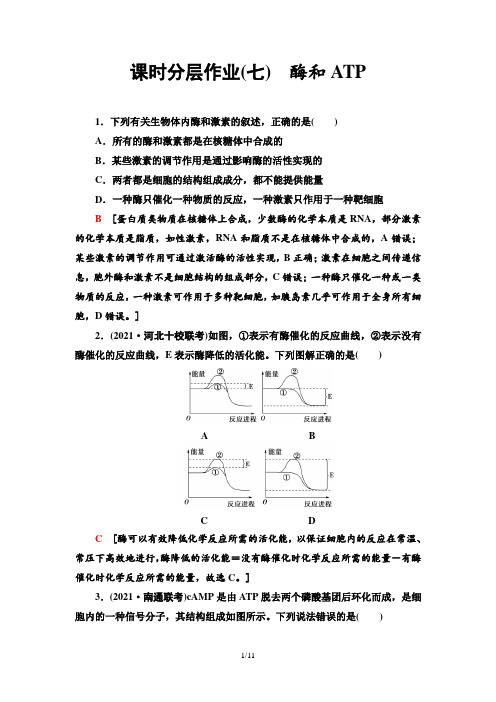 课时分层作业7 酶和ATP