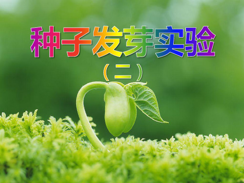 《种子发芽实验(二)》生物与环境PPT课件2