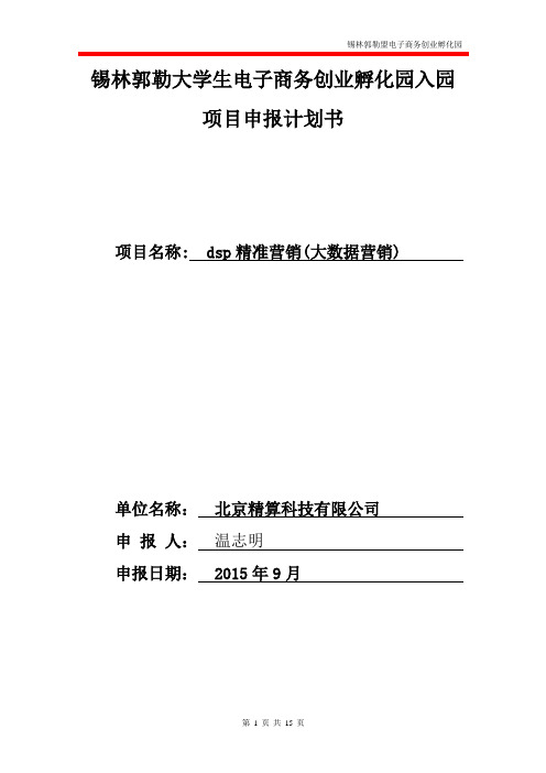 dsp精准营销(大数据营销)项目大学生电子商务创业孵化园入园申报商业计划书