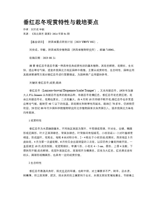 垂红忍冬观赏特性与栽培要点