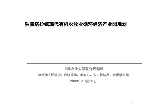 独贵塔拉镇现代有机农牧业循环经济产业园规划_ppt