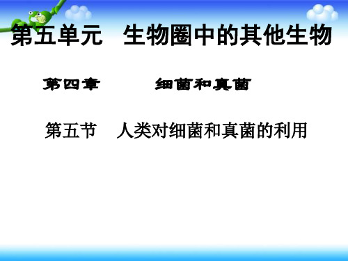 人教版八年级生物上册5.4.5人类对细菌和真菌的利用新课课件(共41张PPT)