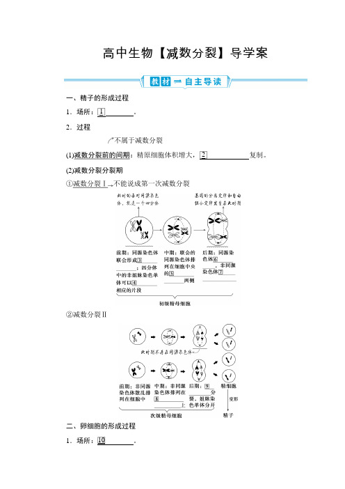 高中生物【减数分裂】导学案