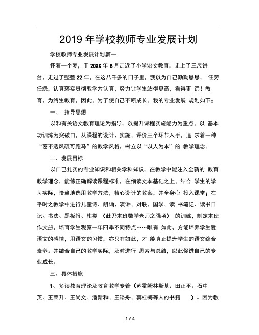 2019年学校教师专业发展计划