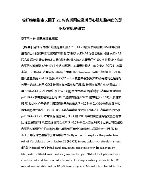 成纤维细胞生长因子21对内质网应激诱导心肌细胞凋亡的影响及其机制研究