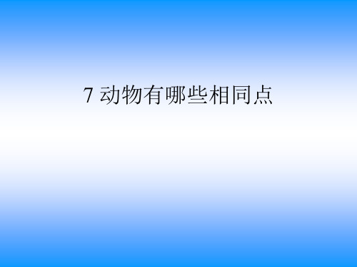 教科版小学科学三年级上册第二单元动物有哪些共同特点课件1