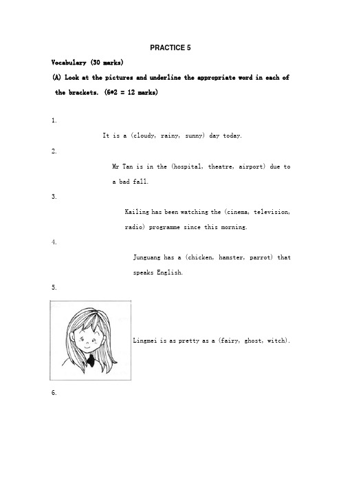 新加坡小学一年级英语试及答案practice5