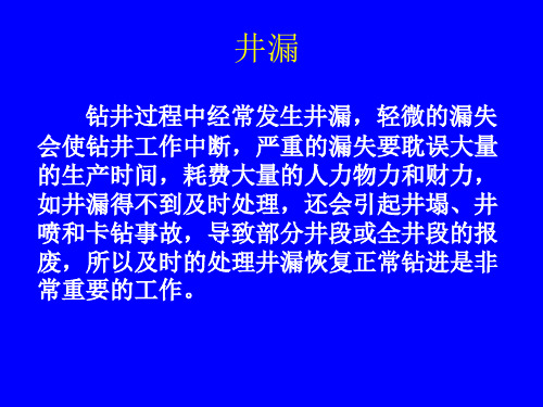 井漏处理措施及案例分析-文档资料