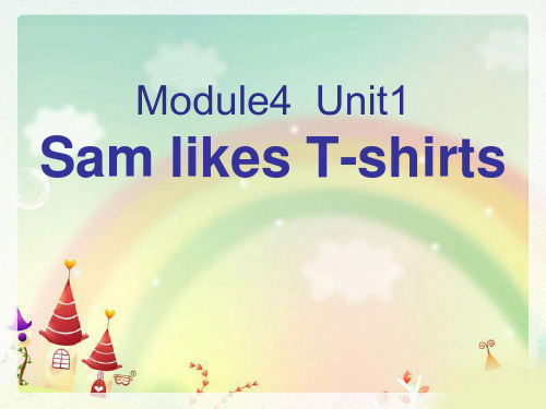 Sam like T-shirts 优秀ppt课件