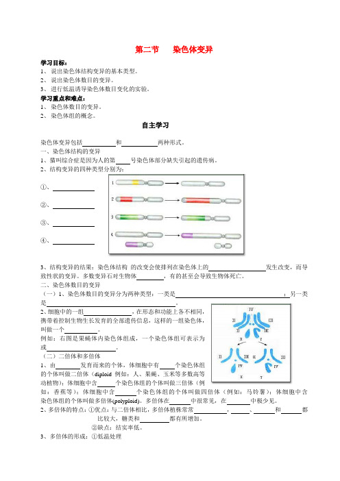 高中生物 第二节染色体变异导学案 新人教版必修2