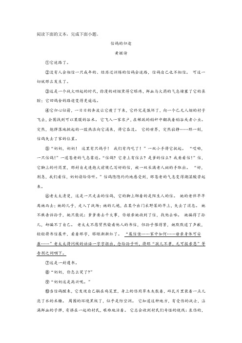 初中现代文阅读理解：信鸽的归途