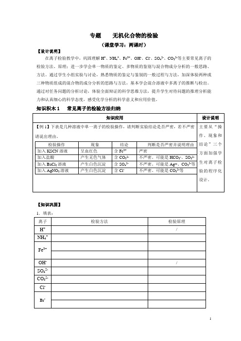 专题 无机化合物的检验