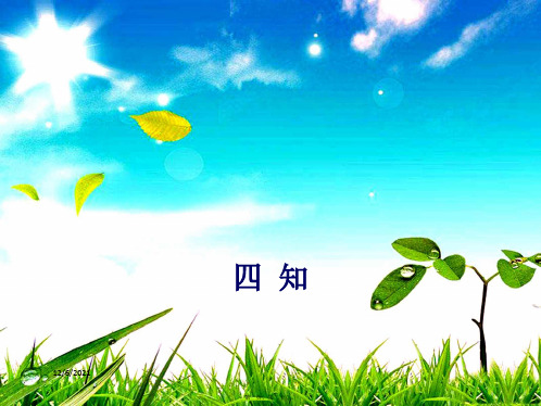 九年级语文下册 第六单元 21 古文二则 四知课件 语文