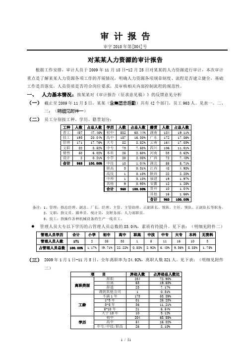 人力资源审计报告(定稿)