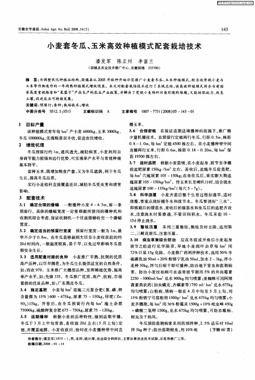 小麦套冬瓜、玉米高效种植模式配套栽培技术