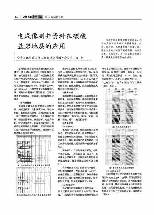 电成像测井资料在碳酸盐岩地层的应用