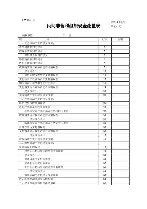 民间非营利组织现金流量表【范本模板】