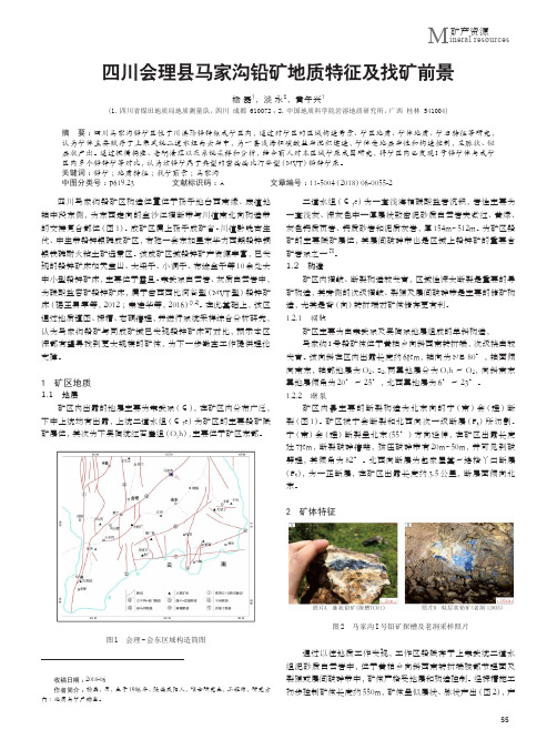 四川会理县马家沟铅矿地质特征及找矿前景