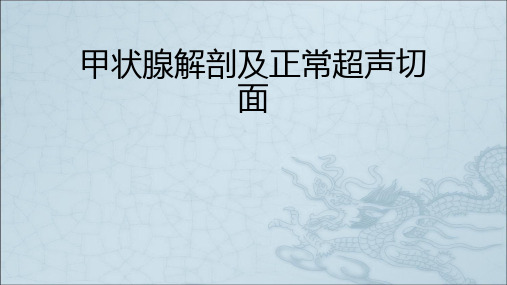 甲状腺解剖及正常超声切面