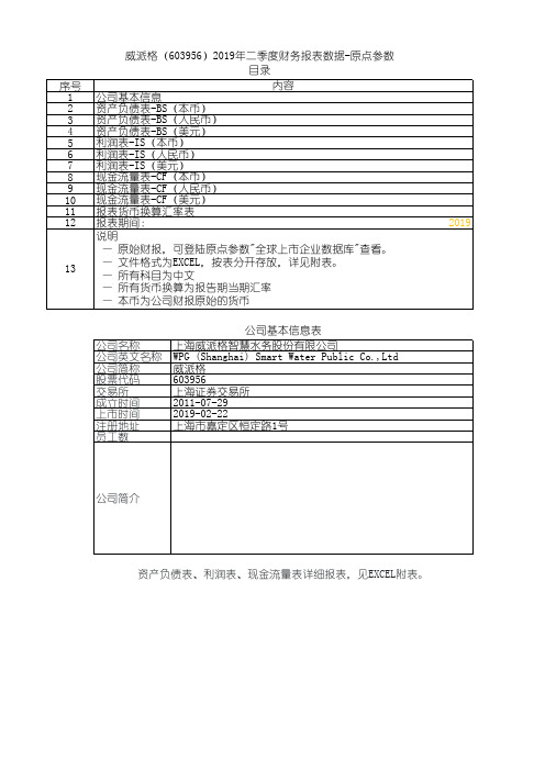 威派格(603956)2019年二季度财务报表数据-原点参数