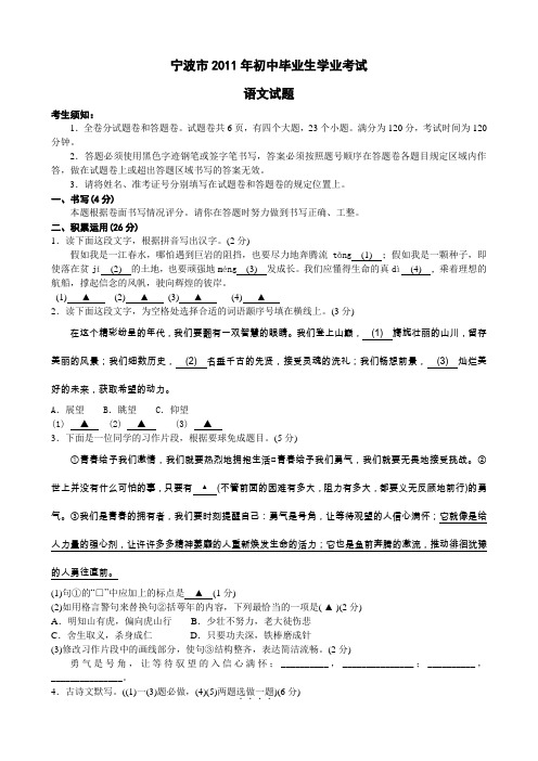 2011年宁波市语文中考真题试卷(含详细答案)