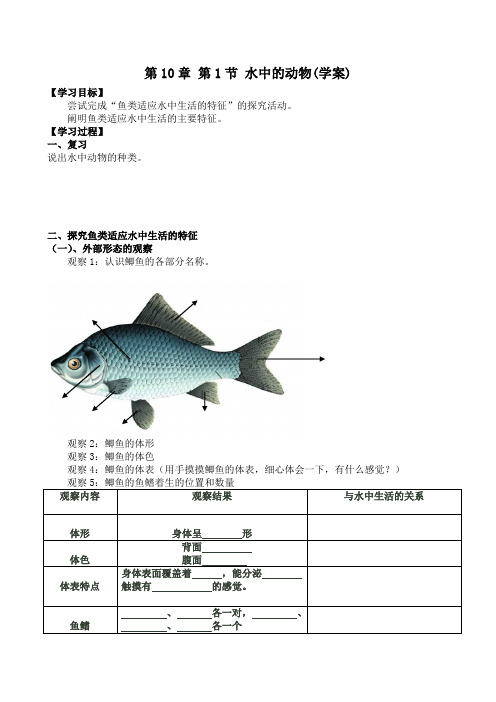 苏科版初中生物七年级下册教案-5.10.1 水中的动物6